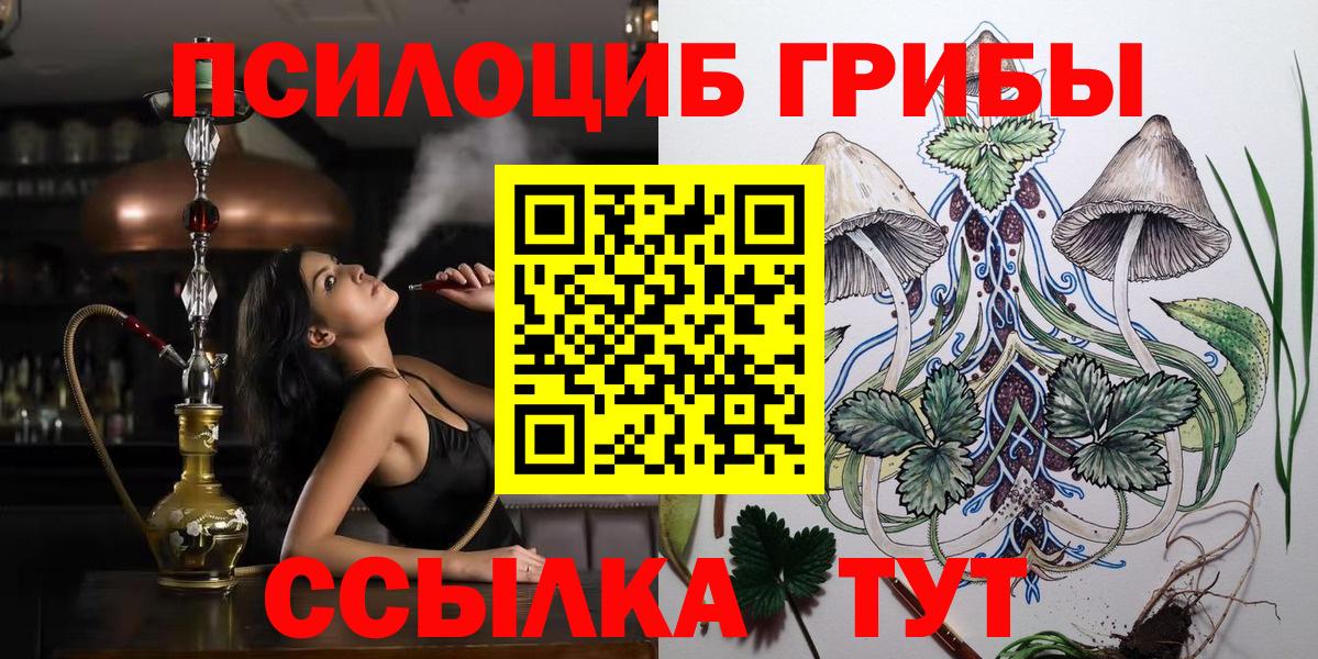 Псилоцибиновые грибы Cubensis Канаш