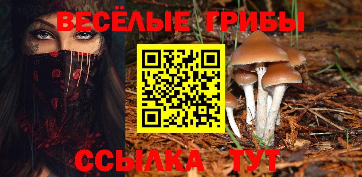 Галлюциногенные грибы Psilocybe  Псилоцибиновые грибы Cubensis  Вход с VPN  Канаш 